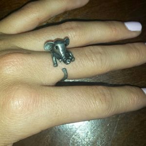 Elephant  ring