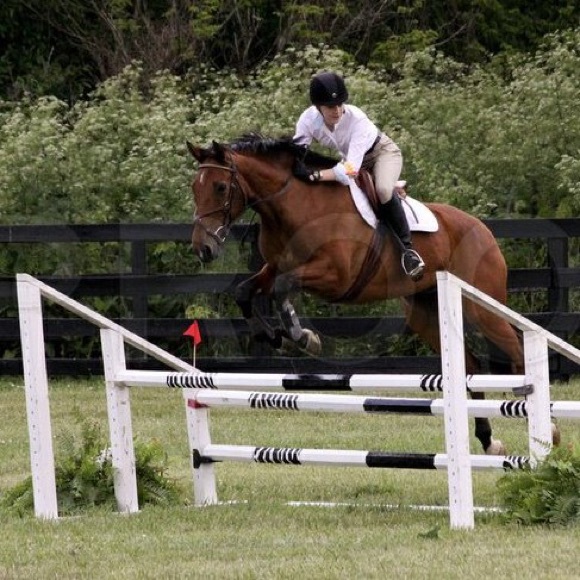 🙋🏼About Your Seller🙋🏼 - Picture 2 of 4