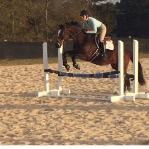 🙋🏼About Your Seller🙋🏼 - Picture 3 of 4