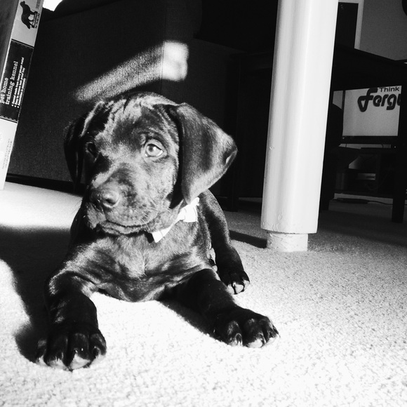 Meet Your Buyer/Seller - Picture 4 of 4