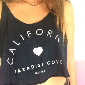 Brandy Melville Crop Top
