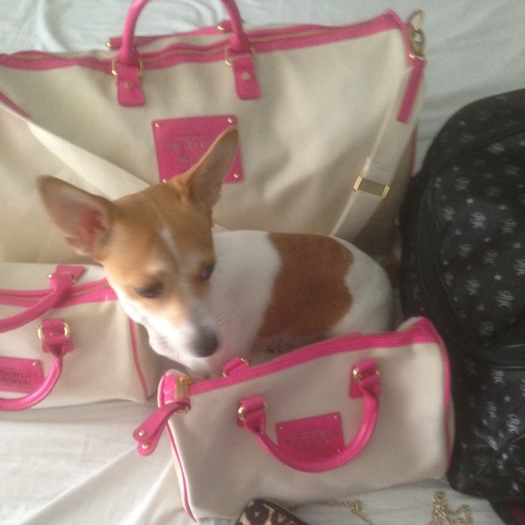Victoria's Secret luggage🎀