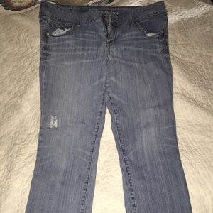 American Eagle crops