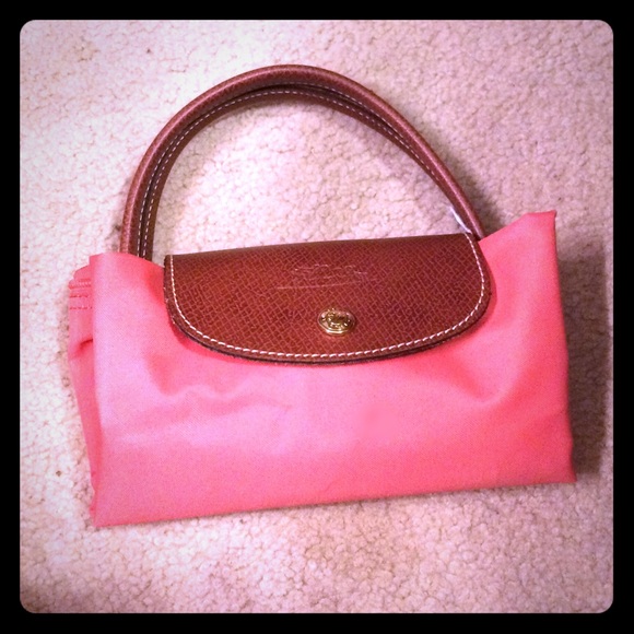 New Small Salmon Longchamp Tote