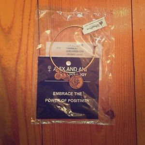 Disney Alex and Ani - Goofy