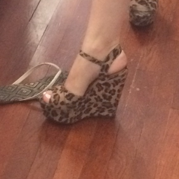 Cheetah wedges