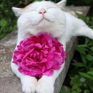 Hope everyone has a lovely day!!