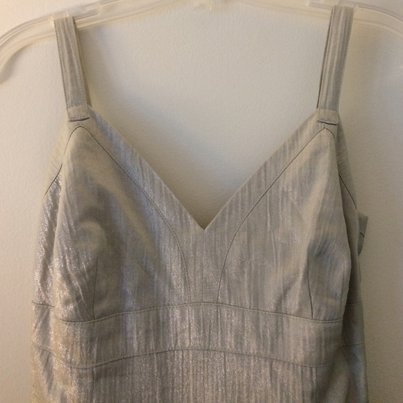 Club Monaco Silver Dress