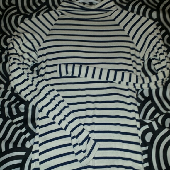 Zara Striped Turtle Neck
