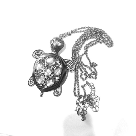 Long turtle necklace