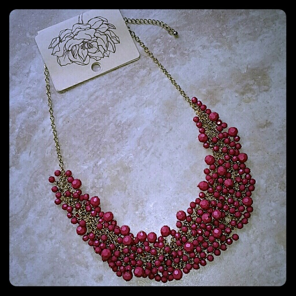Rose pink jewel Necklace