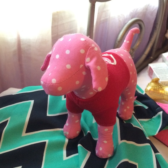 VS PINK Mini Dog with Tshirt