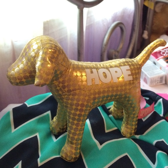 Metallic Gold VS PINK Mini Dog