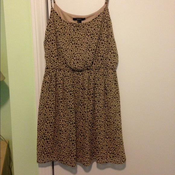 Leopard dress from Forever21