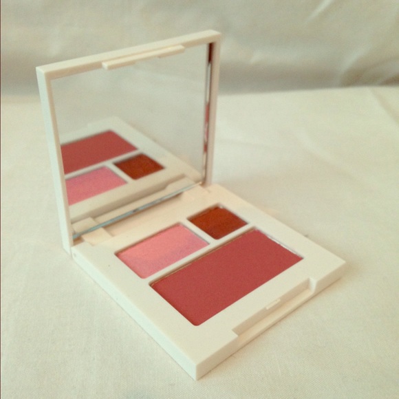 Clinique Eyeshadow and Blush