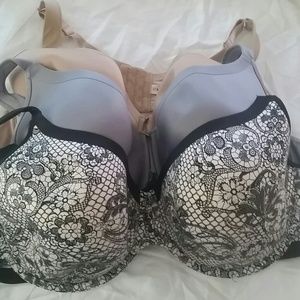 3 Lane Bryant Cacique French Cup Bras