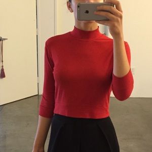 Again cropped 1/3 turtleneck