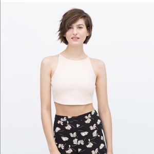 Zara crop top
