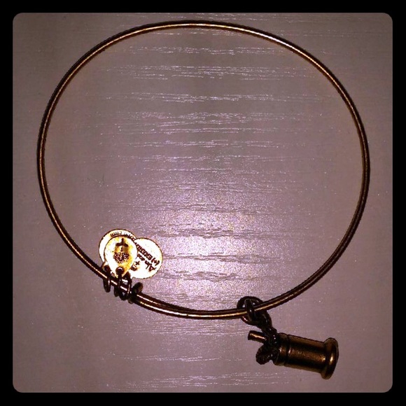 Alex and Ani Jewelry - Alex & Ani mint julep bangle