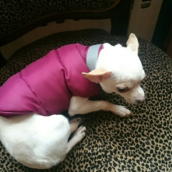 Dog down jacket