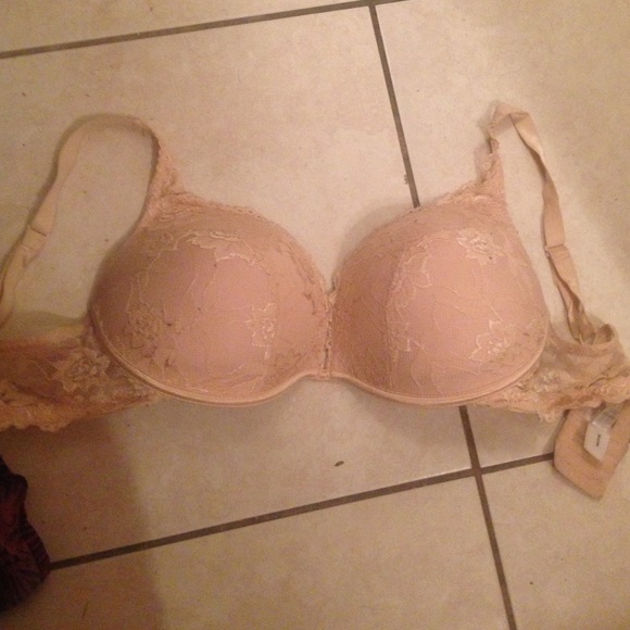 Nude fredricks of Hollywood push-up