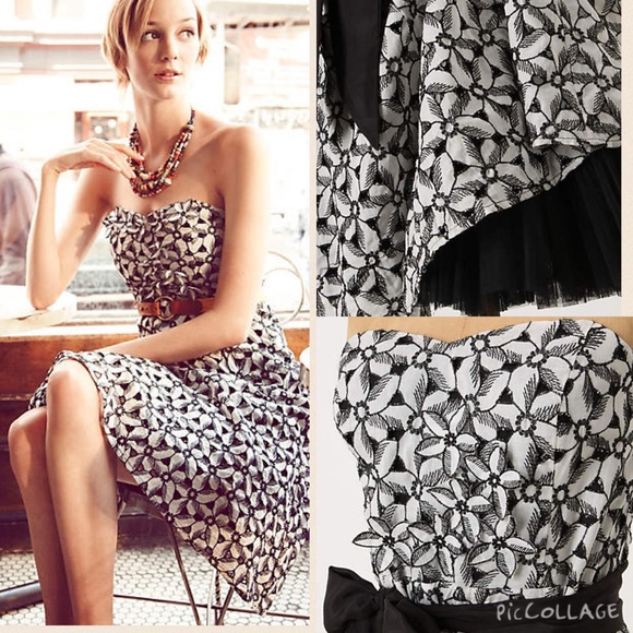 🎉Sale🎉 Anthro Overwhelmed Asters Dress 8 - Picture 2 of 3