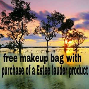 Free makeup bag!