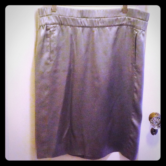 Donated ⭐️J Crew Silver Silk Skirt
