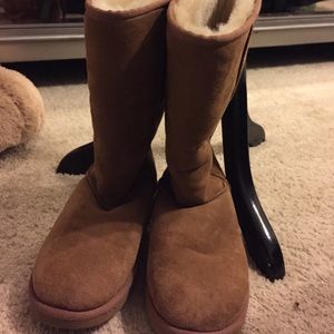 Tall Chesnut Uggs