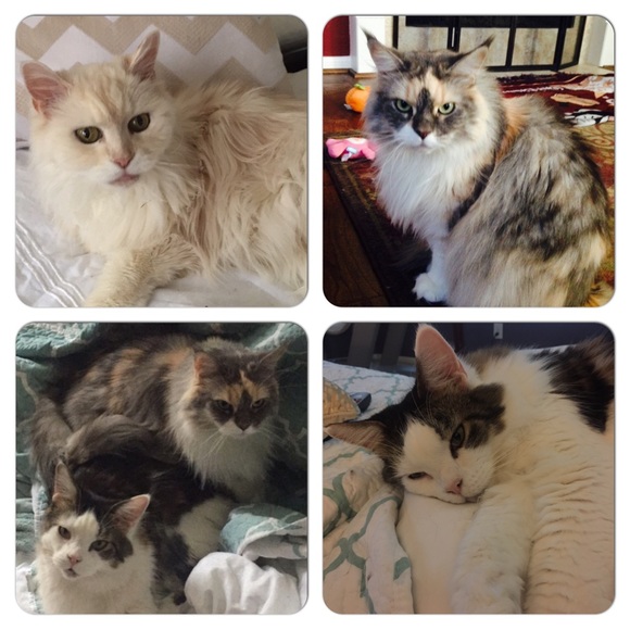 ππΌMeet Me!!!ππΌ - Picture 3 of 4