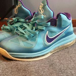 Lebron 9 low summit lake hornets