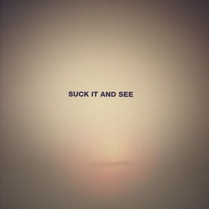 arctic monkeys suck it and see vinyl