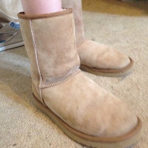 Chestnut mid length uggs