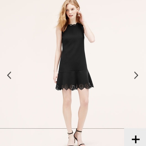 LOFT Dresses & Skirts - NWT Laser cut scallop flounce dress in black, sz 8