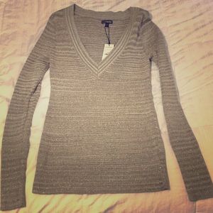 Express NWT Sparkly V-Neck Sweater