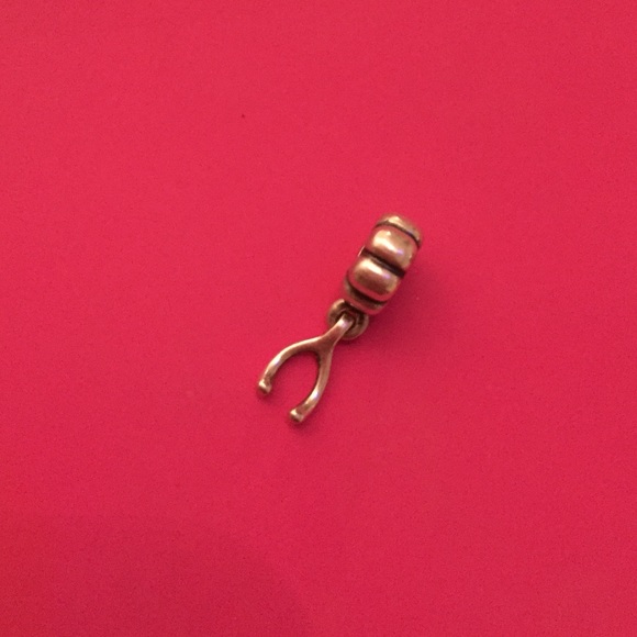 Pandora Charm