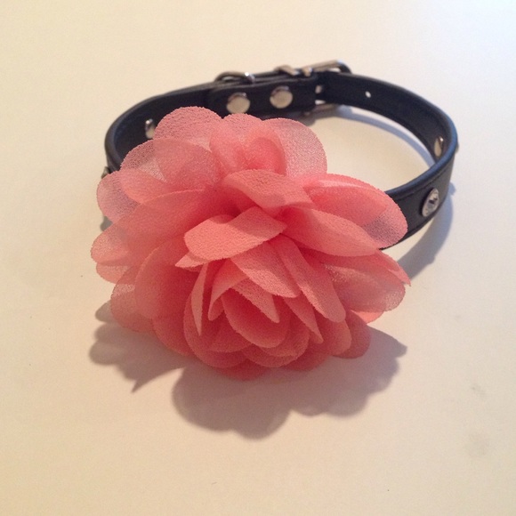 Puppy Collar