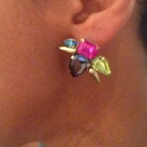 Multi colored earrings