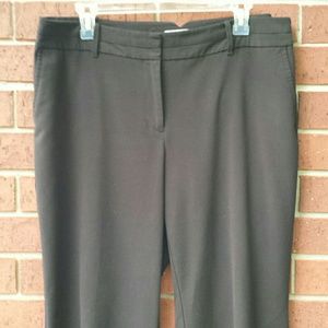 Ann Taylor Loft Dress Pants