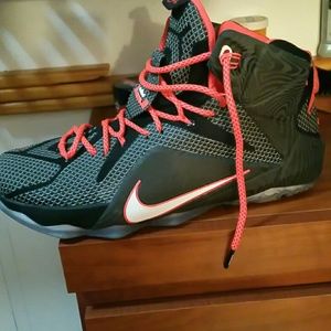 Lebron james 12s with ny hat