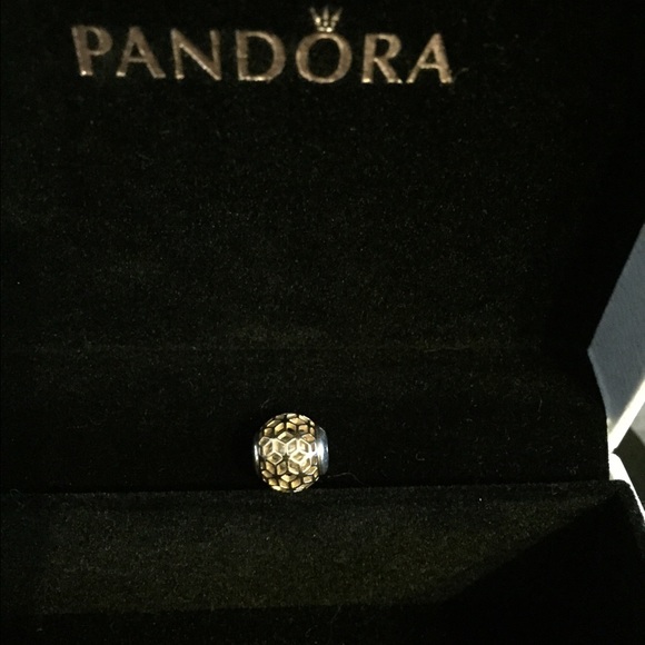 Pandora Essence Collection