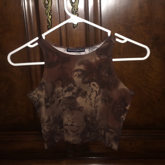 Brandy Melville Brown Crop Top
