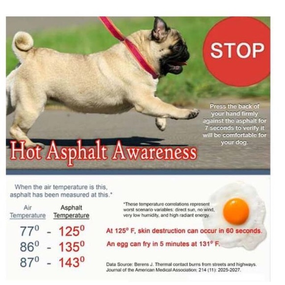 Please don't leave animals and hot cars - Picture 2 of 8