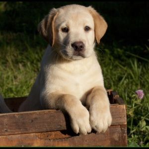 Bundle for cybergoddess ✨