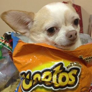 Proof of Shipment for @tanixtragedy 👾💕