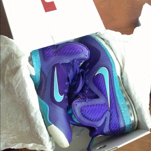 *SOLD THROUGH EBAY* Lebron 9 "Hornets"