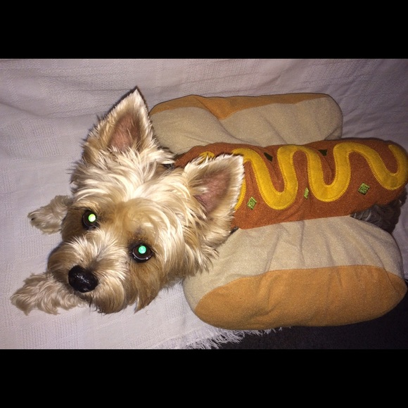 Hot dog, Dog Costume