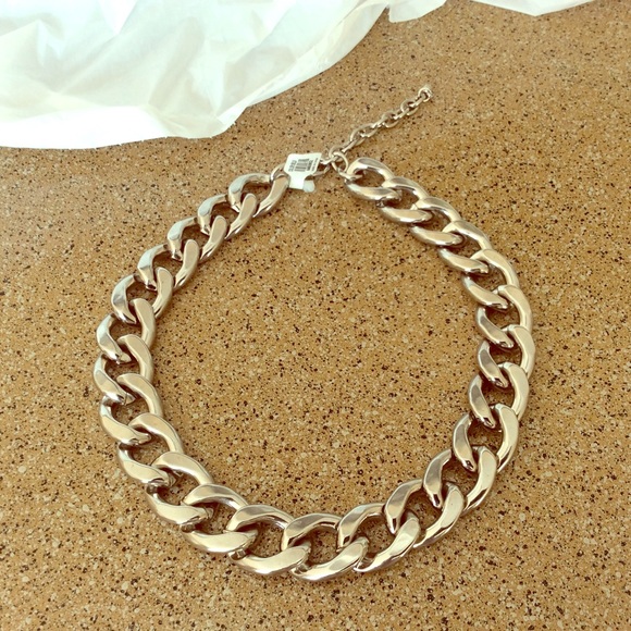 Francesca's silver chain link statement necklace