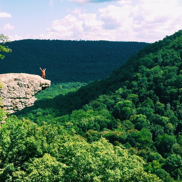 Your seller! - Picture 4 of 4