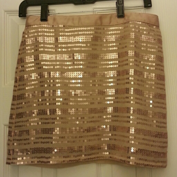Holiday skirt!